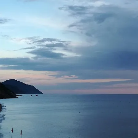 Tinetto Brezza Di Mare